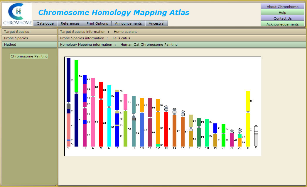 Mapping Human Cat